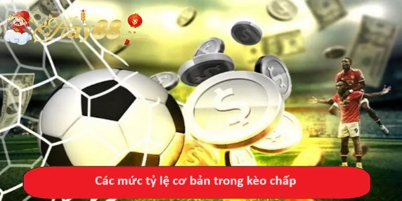 Các mức tỷ lệ cơ bản trong kèo chấp