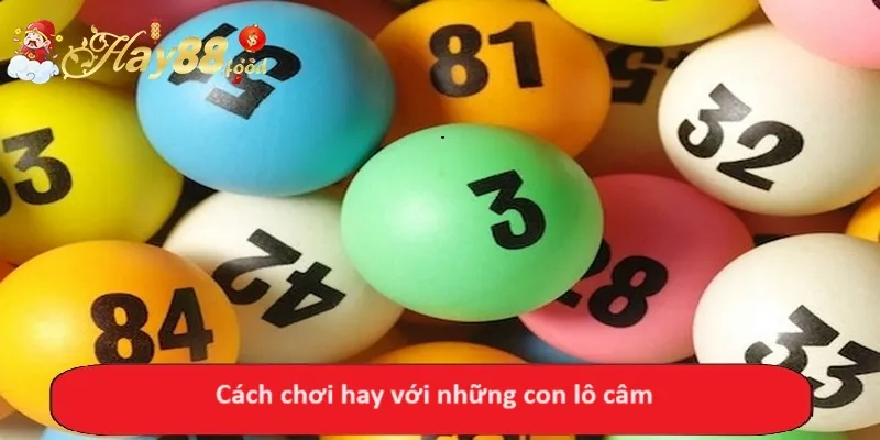 Cách chơi hay với những con lô câm