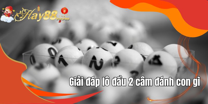 Giải đáp lô đầu 2 câm đánh con gì