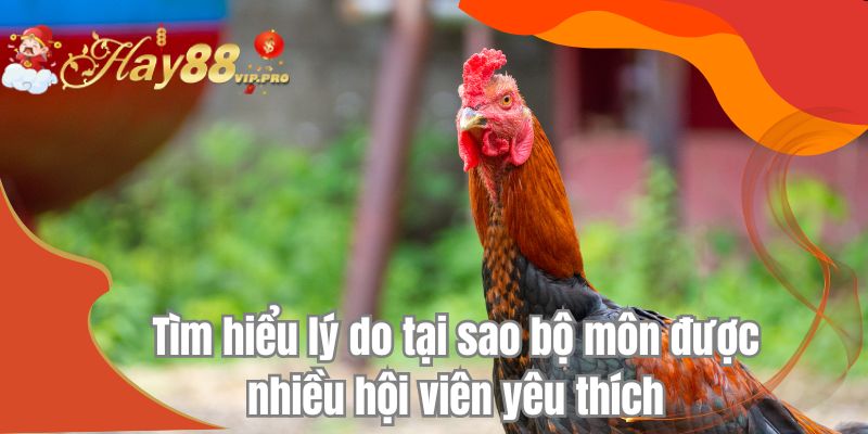 Tìm hiểu lý do tại sao bộ môn được nhiều hội viên yêu thích