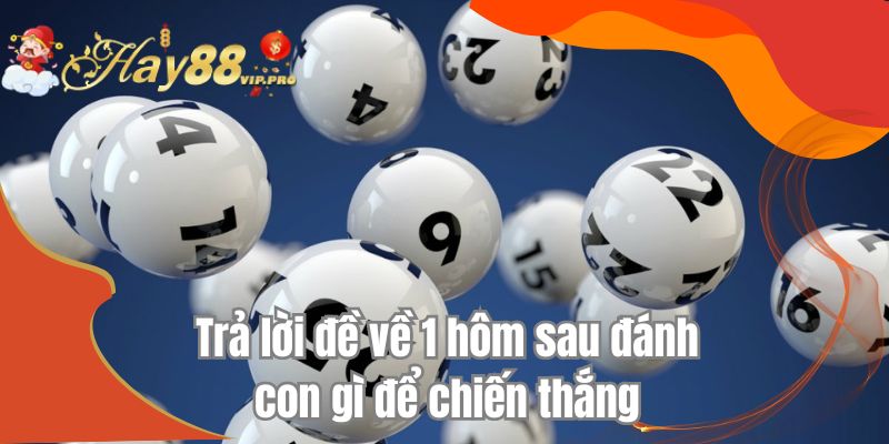 Trả lời đề về 1 hôm sau đánh con gì để chiến thắng