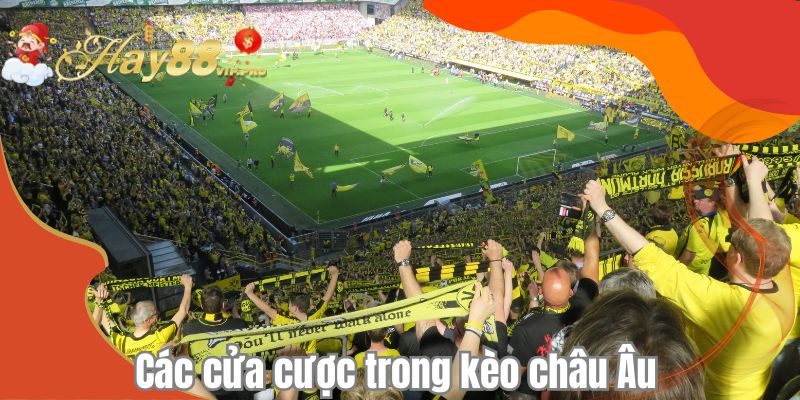 Các cửa cược trong kèo châu Âu